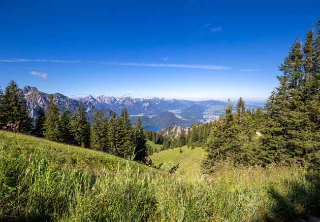 Genusswandern in den Ammergauer Alpen